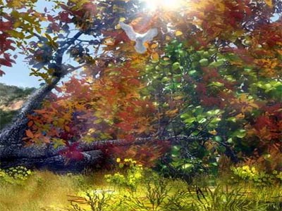 El bosque mágico de la mente