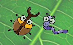 El gusano y el escarabajo