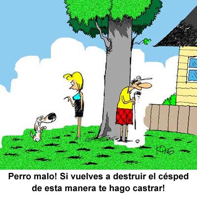 Perro malo!