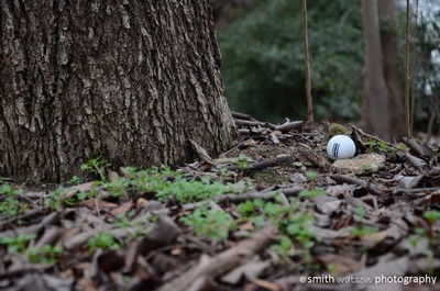 ¿Cómo recuperar la pelota de detrás de un árbol?